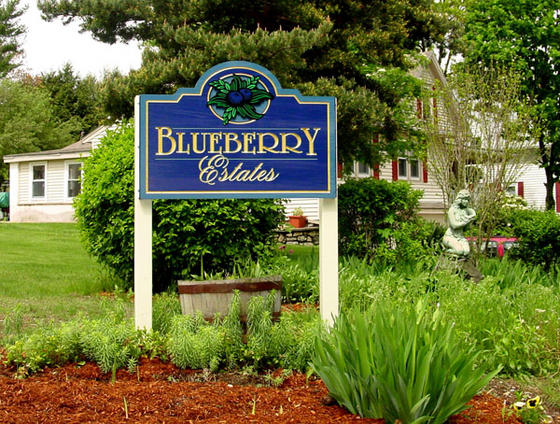 Blueberry Estates2.jpg